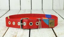 Upcycling Belt Standard 70