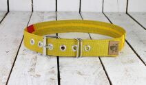 Upcycling Belt Standard 80