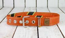 Upcycling Belt Standard 70
