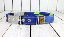 Upcycling Belt Standard 70
