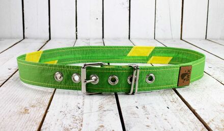 Upcycling Belt Standard 100