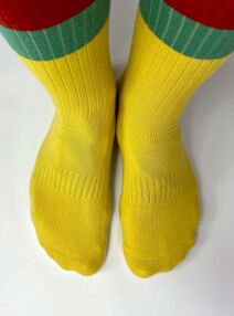 SWLK Socks | Tricolor