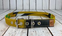 Upcycling Belt Standard 100