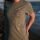 Unisex Shirt Wind, grün